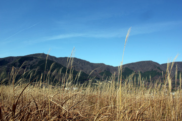 20131126_02.jpg