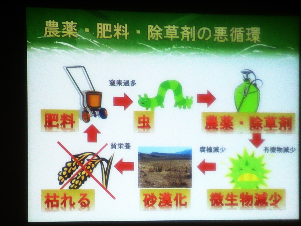 自然の食卓 なーりっしゅ 企画 身近に潜む遺伝子組み換え食品のお話 に行ってきた レッツトライ しもしも りたーんず