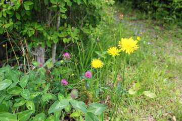 20140529_14.jpg